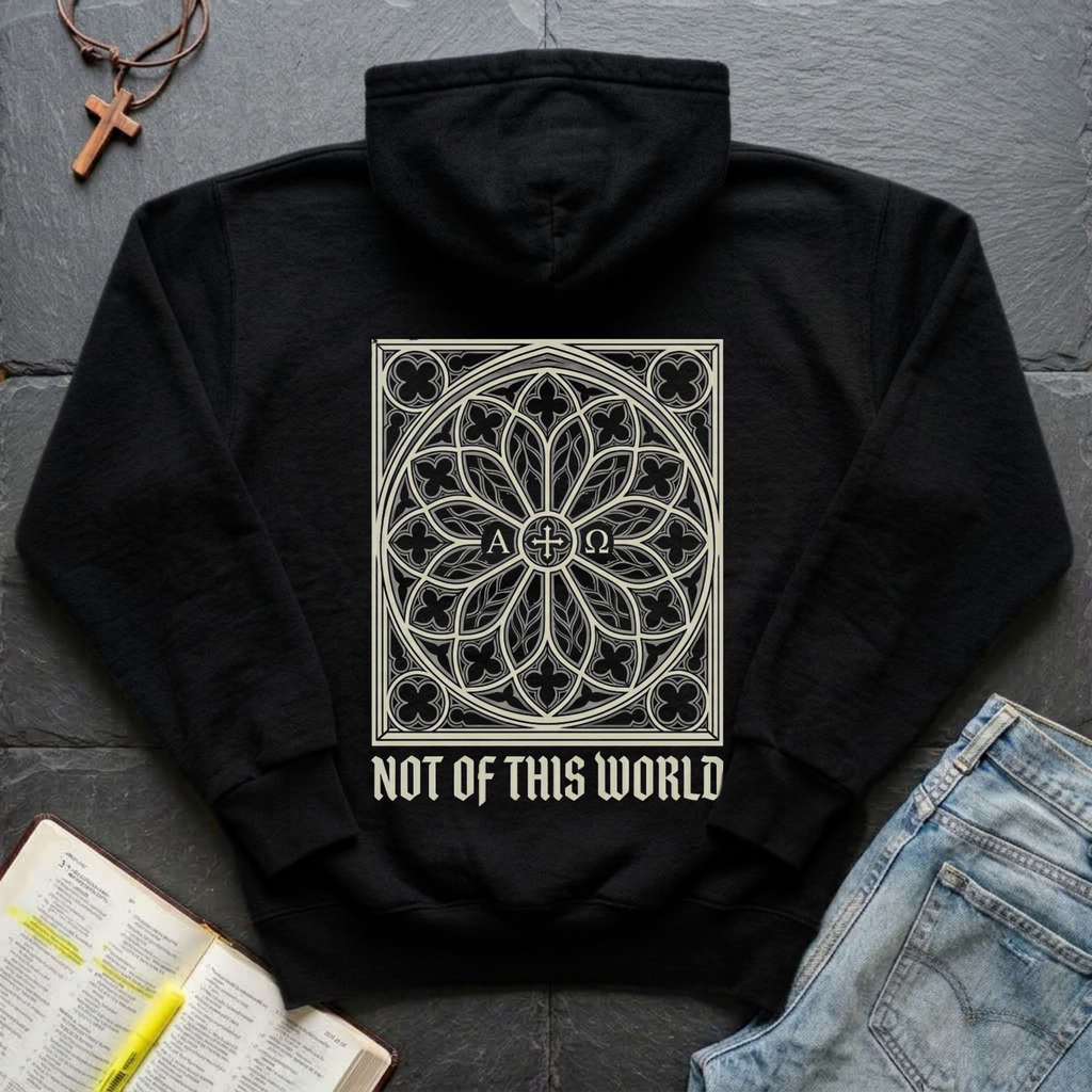 Not of This World Christian Hoodie